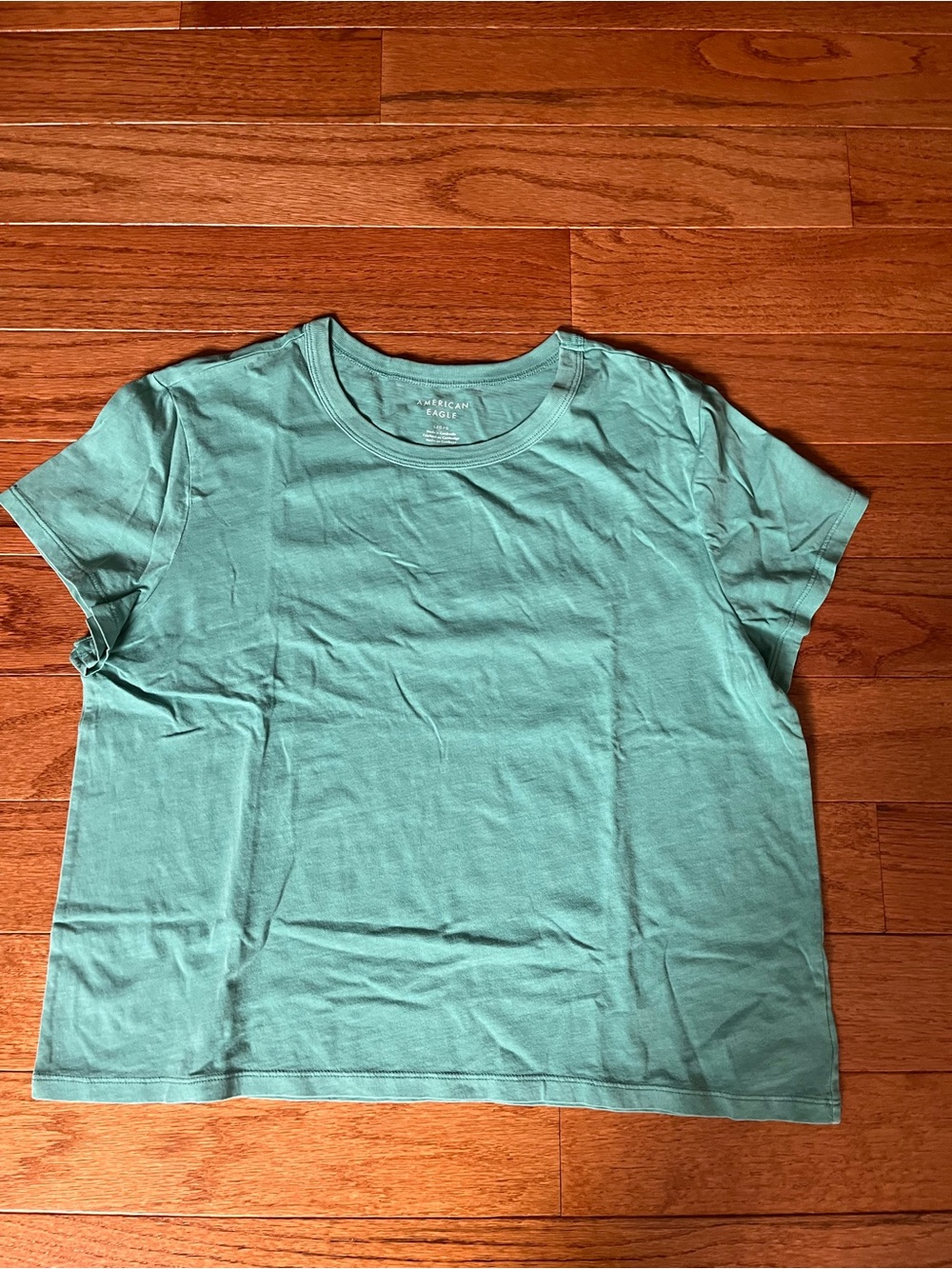American Eagle Outfitters Short Sleeve Tee in Mint Green New/Never worn Size L